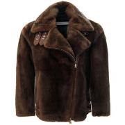 Pusakka Bully  -  IT 40