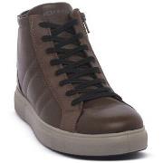 Kengät IgI&CO  8635522  42