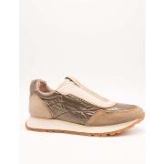 Tennarit Hispanitas  HI254222  36