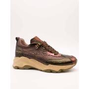 Tennarit Hispanitas  HI254320  37