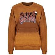 Svetari Newtone  PIPER BRIGHTER  T3