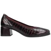 Kengät Pitillos  10820  37