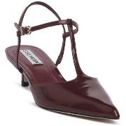 Korkokengät Steve Madden  WINE KILLER  37