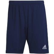 Shortsit & Bermuda-shortsit adidas  Ent22 Tr Sho  EU XXL