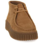 Kengät Clarks  TORHILL MOSS  38