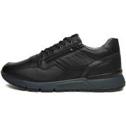 Tennarit NeroGiardini  Sagar Deco Sauvage Dark Grey Pu.Bidens.Poggio B...