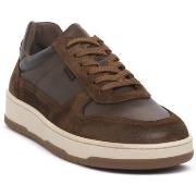 Kengät NeroGiardini  NERO GIARDINI 339 VELOUR MALTO  41