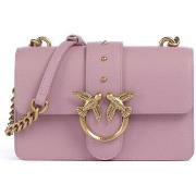 Olkalaukut Pinko  PE25PCPL100059A0F1  Yksi Koko