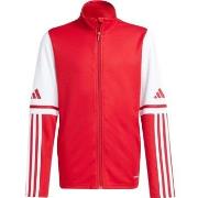 Svetari adidas  JD4797  EU S