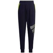 Jogging housut / Ulkoiluvaattee adidas  HE0002  EU XS