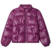 Toppatakki Pepe jeans  PG4000005 450  4 vuotta