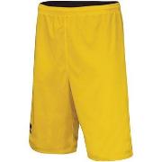 Shortsit & Bermuda-shortsit Errea  Chicago Panta Double Jr  EU XS