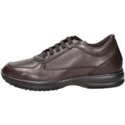 Kengät Imac  851600  40