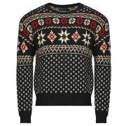 Neulepusero Polo Ralph Lauren  PULL SNOW FALKS  EU S