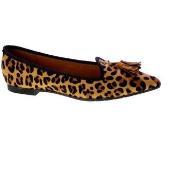 Kengät Francescomilano  145871  37