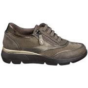 Kengät Zapp  670  36