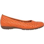 Balleriinat Gabor  44.169.25  42 1/2