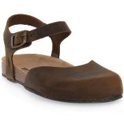Sandaalit Bioline  HOLLY MARRONE INGRASSATO  36