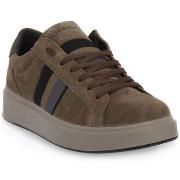 Kengät IgI&CO  STEN SESAMO  45