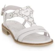 Sandaalit NeroGiardini  NERO GIARDINI  707 LOIRA BIANCO  36