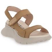 Sandaalit Hispanitas  DESERT JAMAICA  37