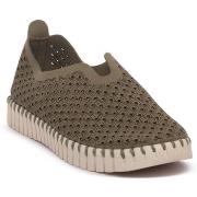 Balleriinat Ilse Jacobsen  JACOBSEN ARMY TULIP 3275  37