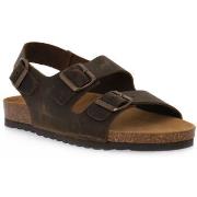 Sandaalit Bioline  880 INGRASSATO MARRONE  38