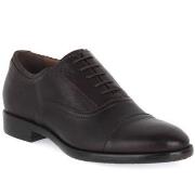 Kengät NeroGiardini  NERO GIARDINI  LEVANTO EBONY  44