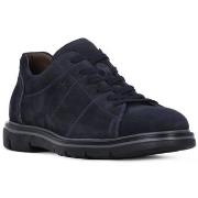 Kengät NeroGiardini  NERO GIARDINI  CAMOSCIO COLORADO  41