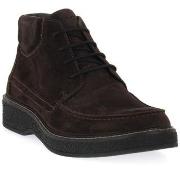 Kengät IgI&CO  CLAYTON  43