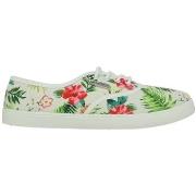 Balleriinat Les Tropeziennes par M.Belarbi  Ballerines  38