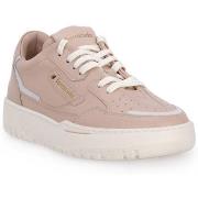 Kengät Barracuda  CIPRIA  38