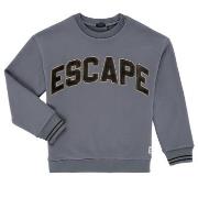 Svetari Ikks  X215043  3 vuotta