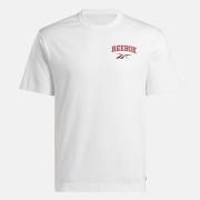 Lyhythihainen t-paita Reebok Sport  GS HS GUARANTEED TEE  EU S