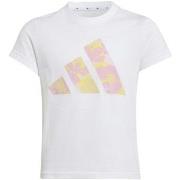 T-paidat & Poolot adidas  Jg Flwr T  9 / 10 vuotta