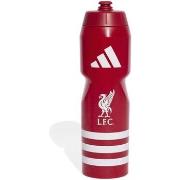 Urheiluvarusteet adidas  Lfc Bottle  Yksi Koko