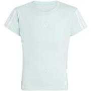 Lyhythihainen t-paita adidas  Jg 3S Tee 160  13 / 14 vuotta