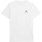 Lyhythihainen t-paita 4F  4FAW23TTSHM095110S  EU XL