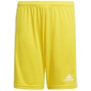 Shortsit & Bermuda-shortsit adidas  JR Squadra 21  EU S