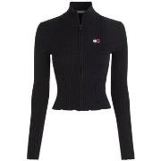 Svetari Tommy Hilfiger  DW0DW16532BDS  EU L