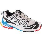 Kengät Salomon  Xa Pro 3d V9 Gtx  38