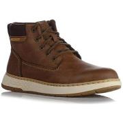 Kengät Skechers  205235BRN  40