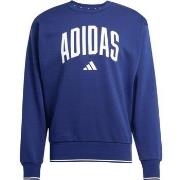 Ulkoilutakki adidas  Collegiate  EU XXL
