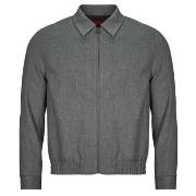 Pusakka HUGO  Hellys241F1X   S