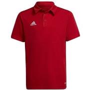 Lyhythihainen poolopaita adidas  Entrada 22  EU S