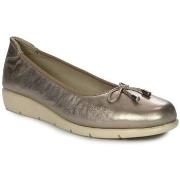 Balleriinat Maciejka  P650425001  36