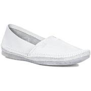 Kengät Maciejka  T193021000  38