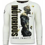 Svetari Local Fanatic  144051462  EU XXL