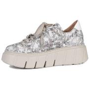 Kengät Maciejka  6891W02008  36