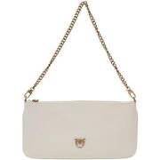 Pikkulaukut Pinko  HORIZONTAL FLAT VITELLO SETA 102747 A0F1  Yksi Koko